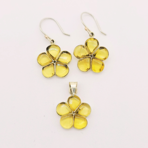 Set de aretes y dije de ambar con plata - flores Nativa